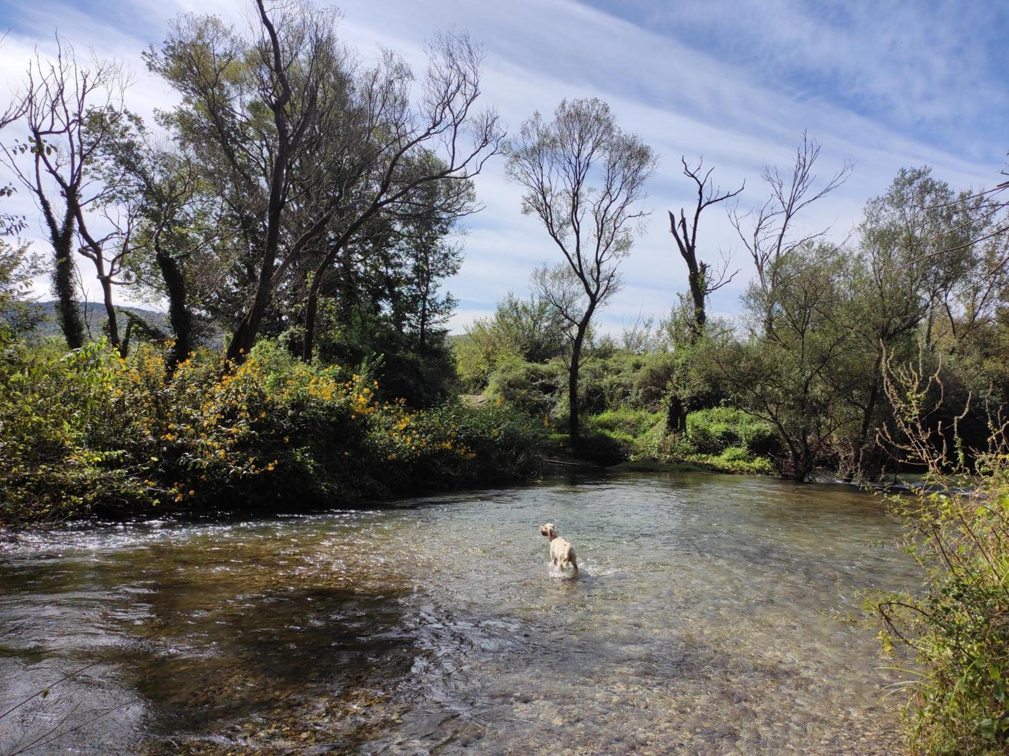 Country House Uros In Nature With Pool Lovorno Ngoại thất bức ảnh